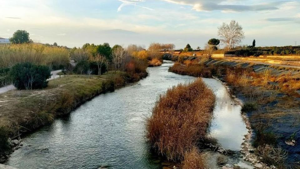 Active Bike Tour: River Turia Natural Park. - Frequently Asked Questions