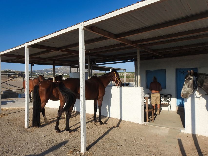 Akrotiri: Guided Horseback Riding Day Trip to a Beach - Frequently Asked Questions