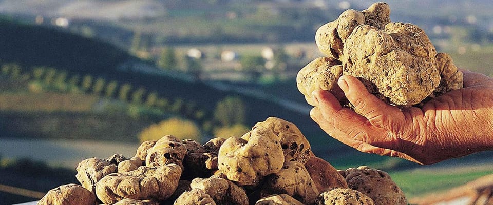 Alba Truffle Fair: Skip-the-Line Entrance and Private Tour - Frequently Asked Questions