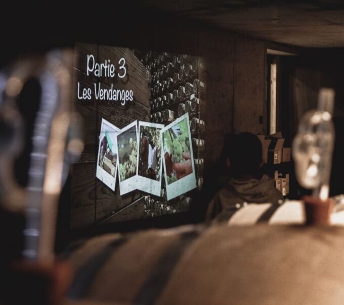 Alsace: Guided Wine Tasting and Cellar Visit - Frequently Asked Questions