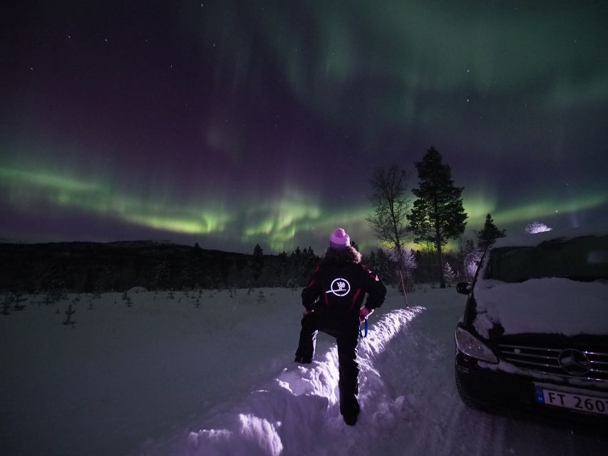 Alta: Small-Group Guided Northern Lights Tour - Frequently Asked Questions