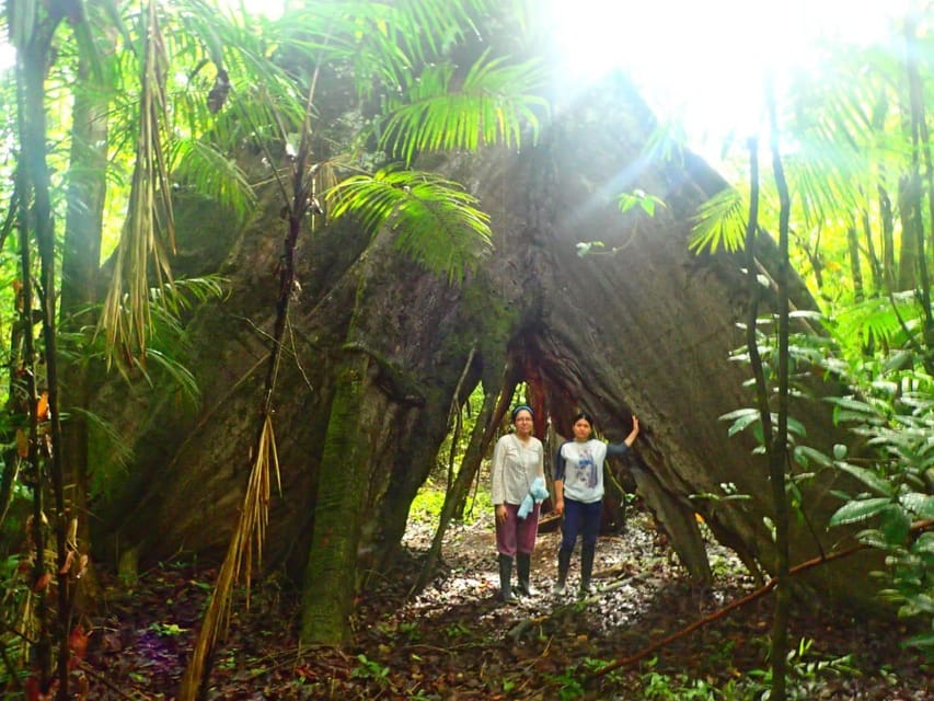 Amazon Odyssey: Explore Rainforest Wonders on Our Tours! - Frequently Asked Questions