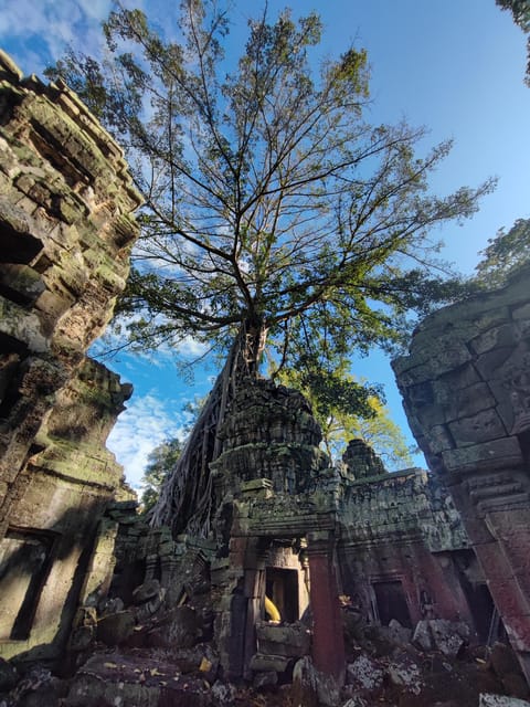 Angkor Wat Imaginary Experience - Frequently Asked Questions