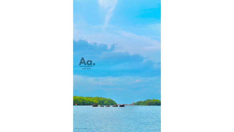 Arugambay: Mangrove Watching in Pottuvil Lagoon - Frequently Asked Questions