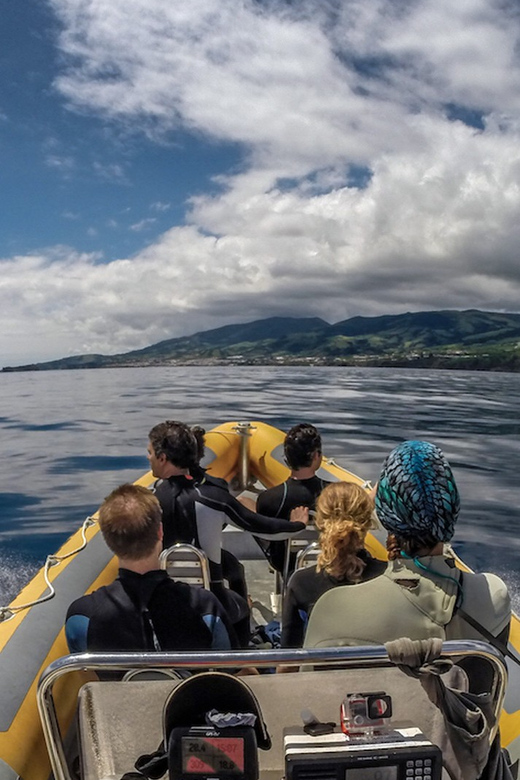 Azores: Swim With Dolphins Atlantic Experience - Frequently Asked Questions