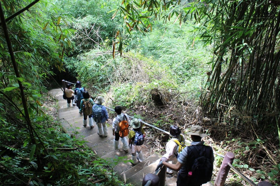 Back to Nature Trekking and Hiking at Khao Yai National Park - Frequently Asked Questions