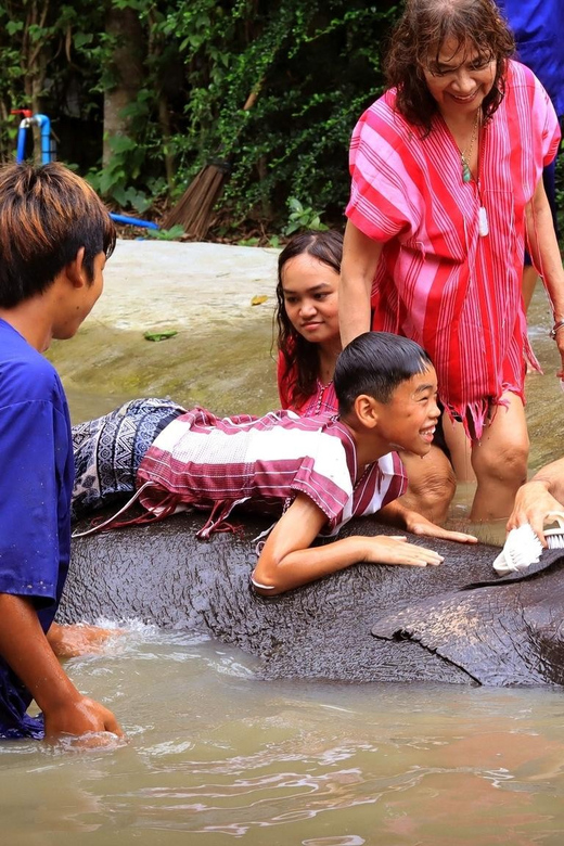 Bangkok Elephant Park: HD Elephant Experience (No Transfers) - Frequently Asked Questions