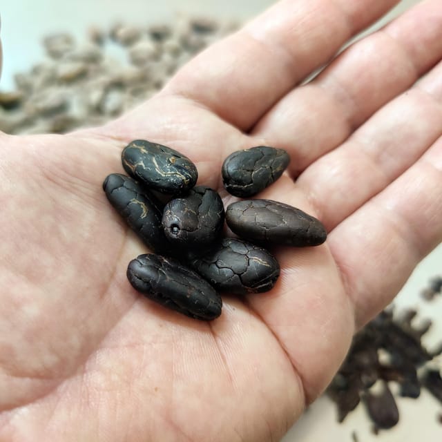 Become a Chocolatier for a Day! - Frequently Asked Questions
