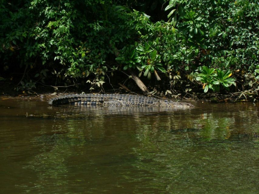 Bentota River Safari (Lagoon Boat Safari) - Frequently Asked Questions