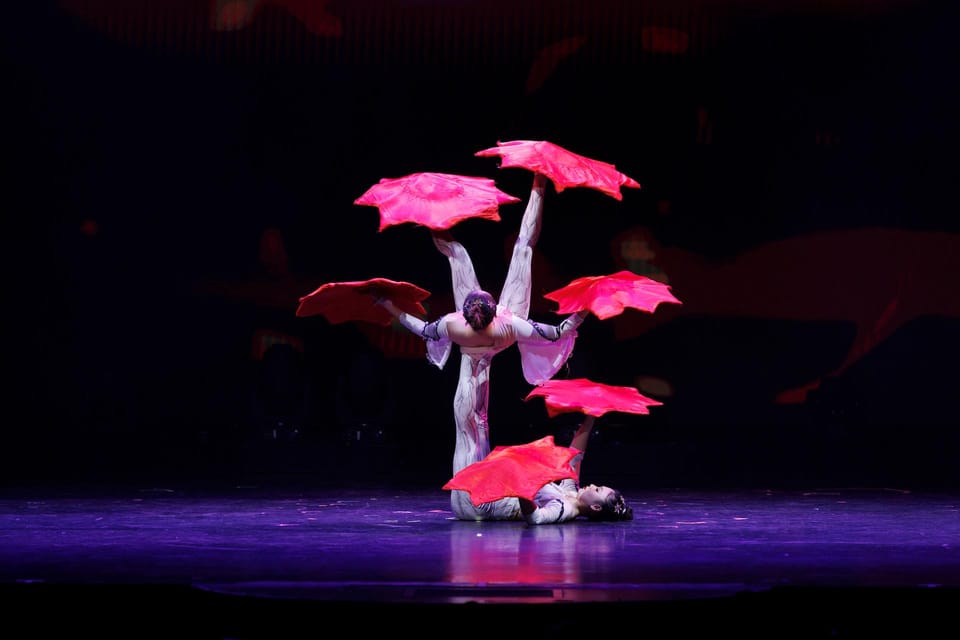 Branson: Grand Shanghai Acrobats Circus Show Entry Ticket - Acrobatic Performances