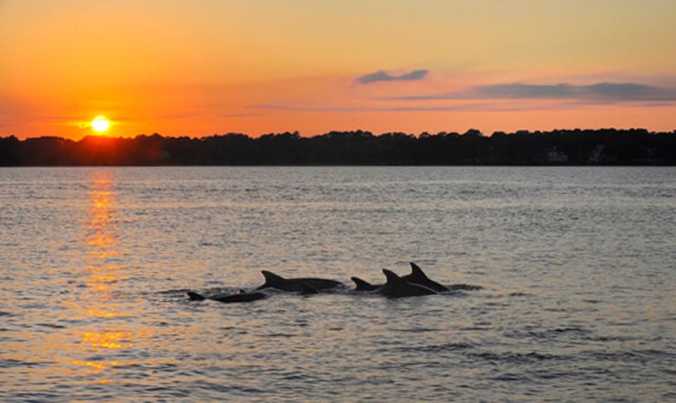 Brijuni Islands: Sunset & Dolphins Private Boat Tour - Island Exploration