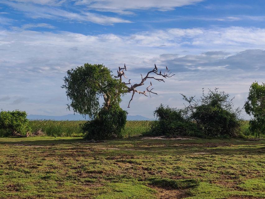 Bundala National Park: 3-Hour Morning or Evening Safari - Frequently Asked Questions