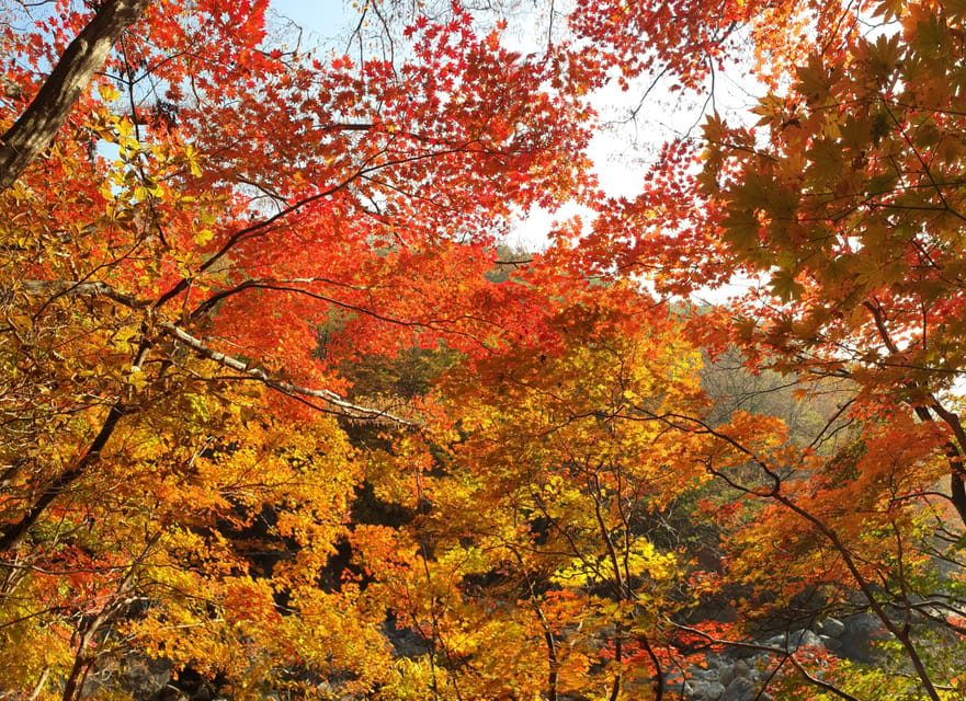 Busan: Mt. Jiri or Juwangsan National Park Fall Colors Tour - Frequently Asked Questions