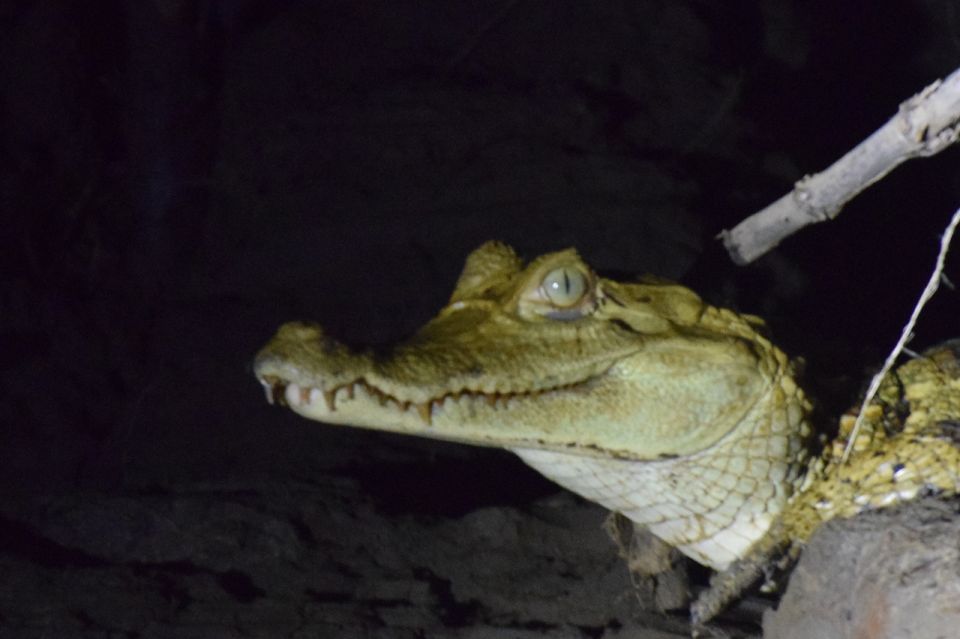 Caimans and Capybaras Search on the Tambopata River - Frequently Asked Questions