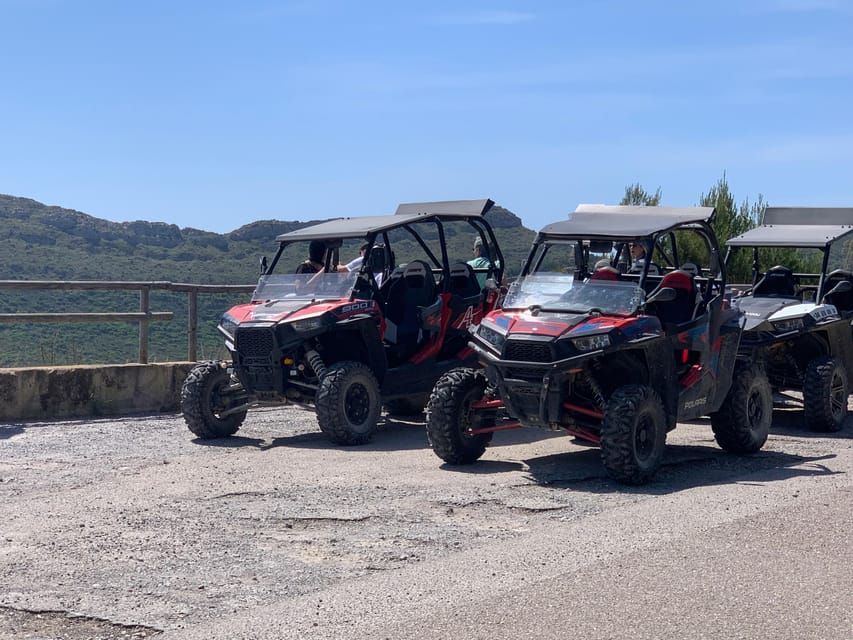 Cala Ratjada: Exclusive Buggy Tour Also for Families - Frequently Asked Questions