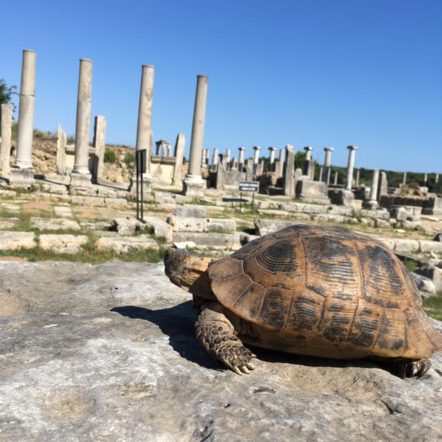 Call Of Ancient History In Perge - Frequently Asked Questions