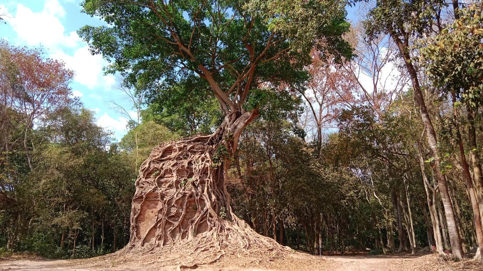 Cambodia: 7-Day Cycling Tour From Phnom Penh to Siem Reap - Frequently Asked Questions