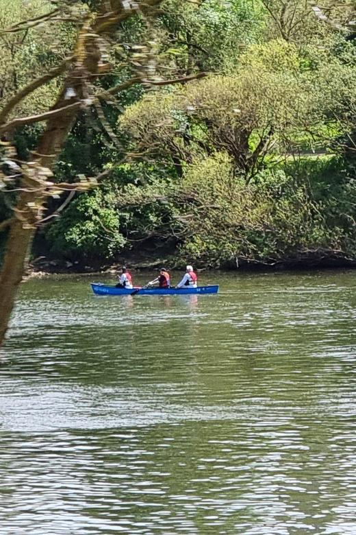 Canoe Rental Middle Moselle: 2-Hour Canoe Tour on the Moselle - Frequently Asked Questions