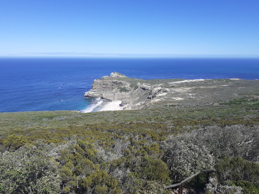 Cape of Good Hope: Sightseeing and African Penguins Tour - Frequently Asked Questions