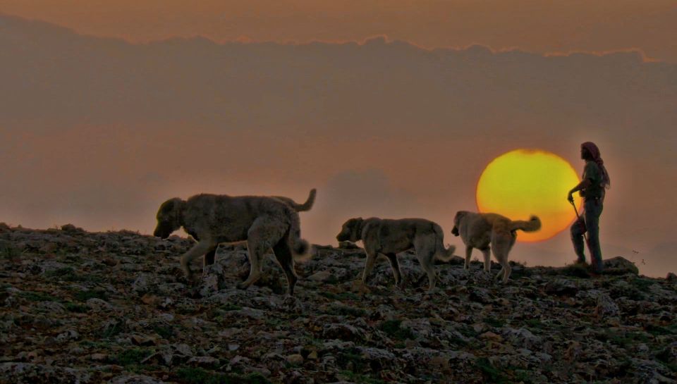 Cappadocia: North Private Tour - Frequently Asked Questions