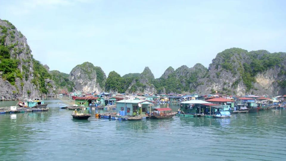 Cat Ba 2 Day Trip : Luxury Cruise, National Park, Beach - Frequently Asked Questions