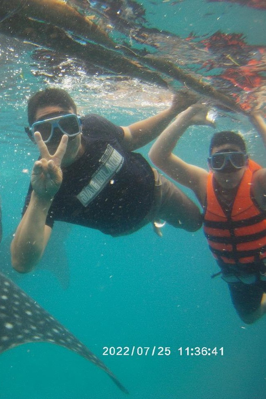 Cebu; Oslob Whaleshark Watching Day Tour - Frequently Asked Questions