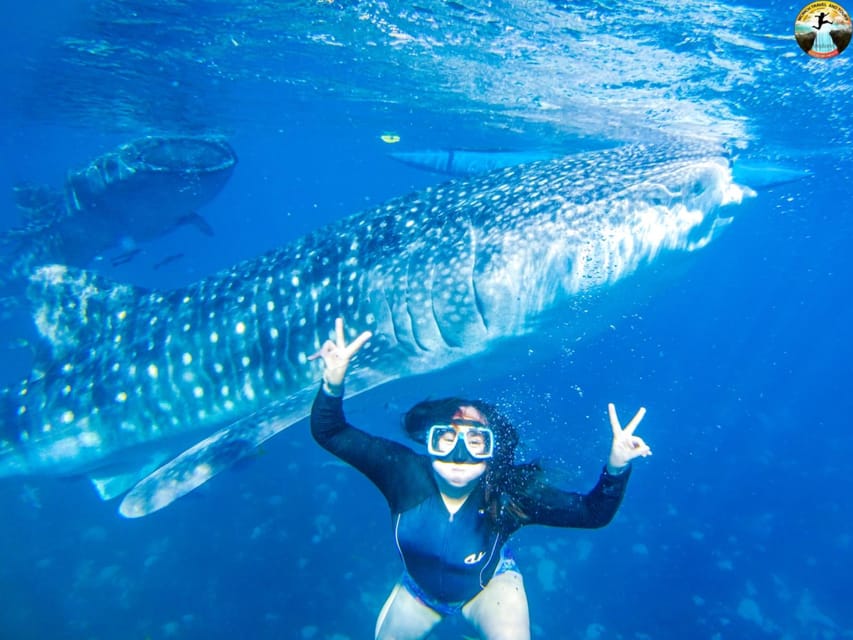 Cebu: Whale Shark Swimming & Kawasan Falls Canyoneering - Frequently Asked Questions