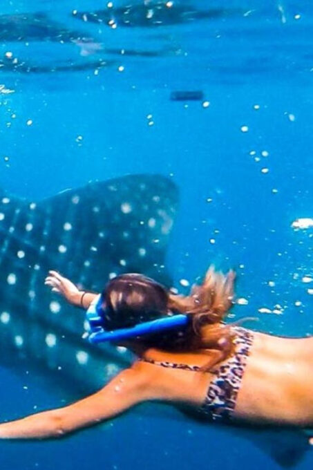 Cebu: Whaleshark Encounter, Tumalog Falls, & Monkey Viewing - Frequently Asked Questions