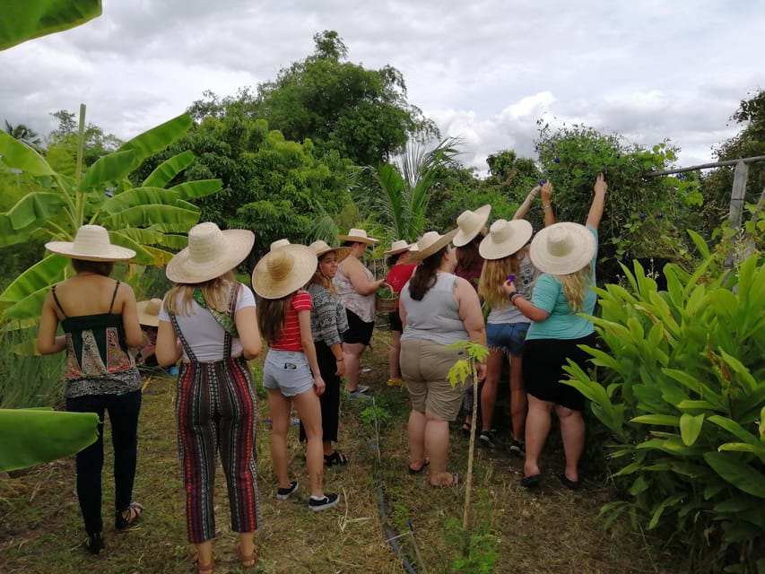 Chaing Mai : Cooking in Organic Farm With a Local Train Trip - Frequently Asked Questions