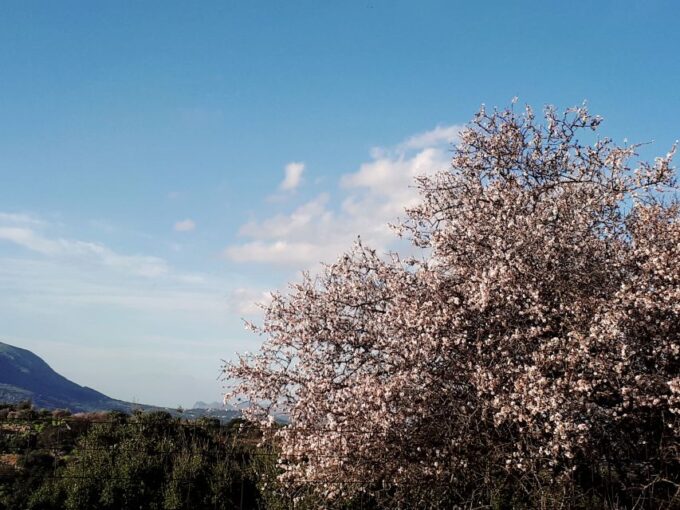 Chania: 7 Villages of Apokoronas Tour With Lunch - Frequently Asked Questions