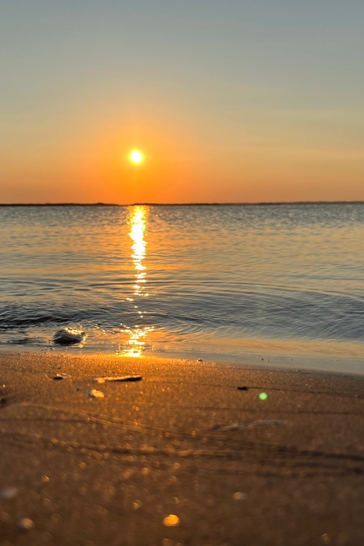 Charleston: Morris Island Dolphin Cruise With Beachcombing - Frequently Asked Questions