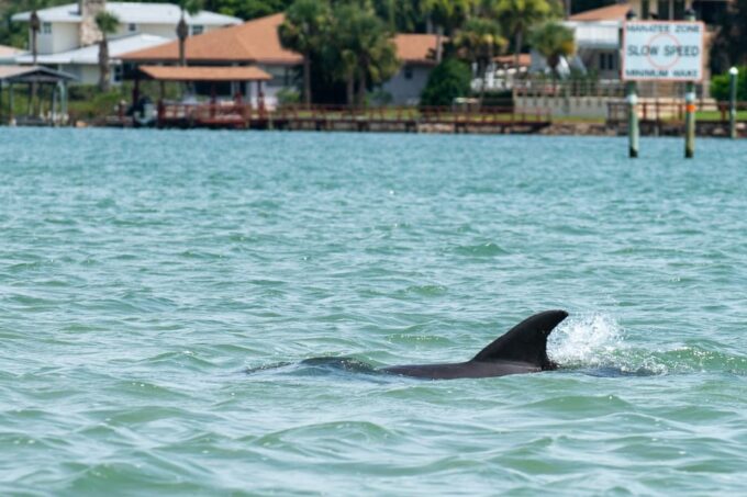 Charleston: Private Sightseeing & Dolphin Watching Boat Tour - Frequently Asked Questions