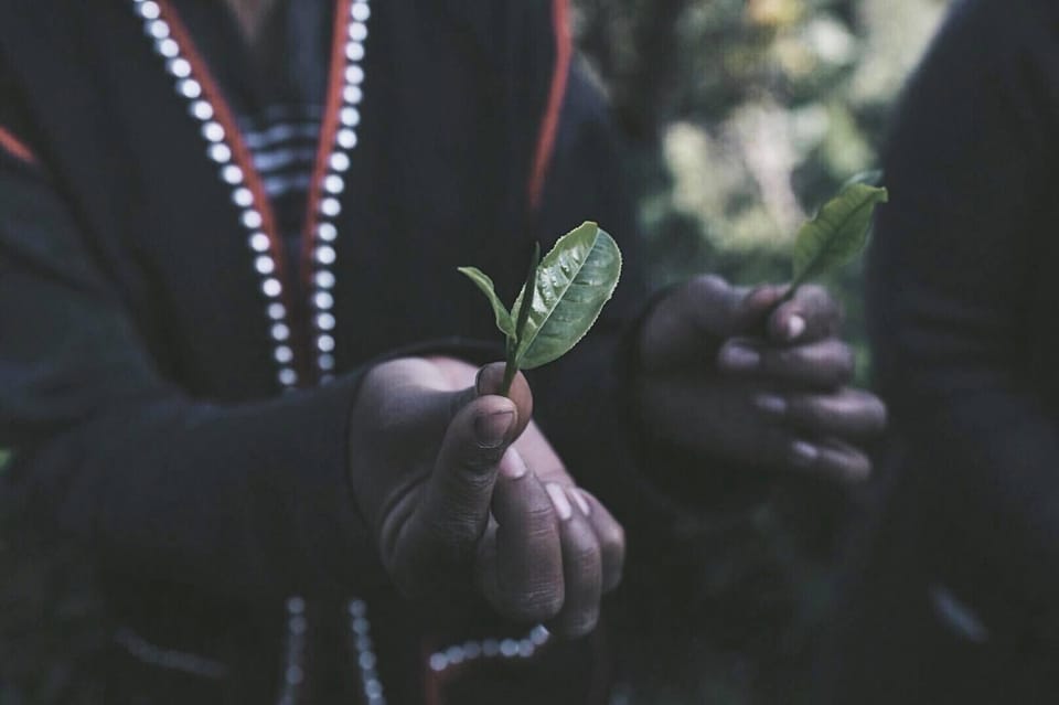 Chiang Mai: 2-Day LAHU Tribe & Tea Tourism Experience - Frequently Asked Questions