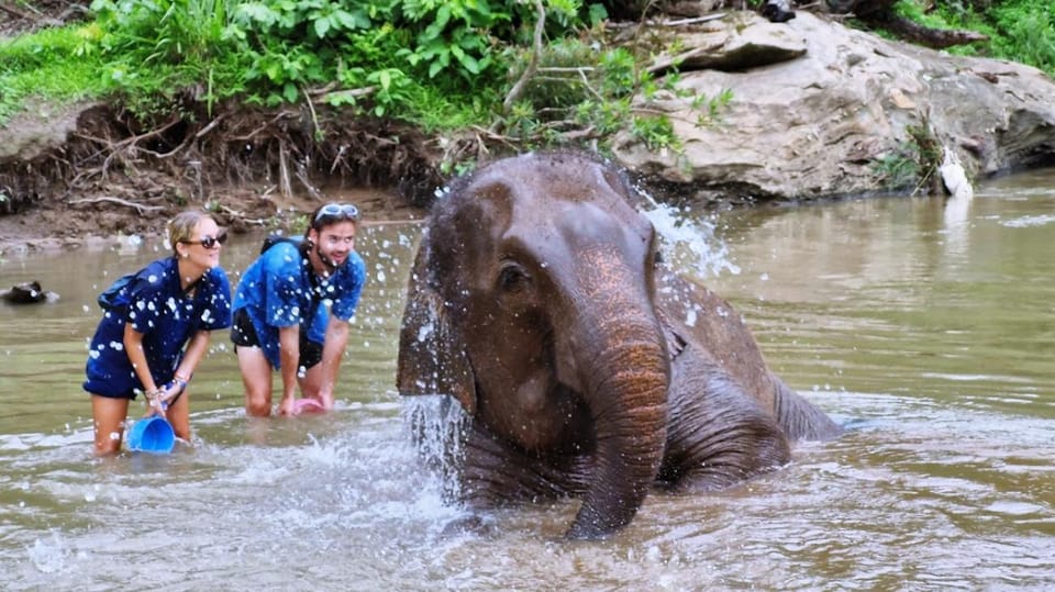 Chiang Mai: A Day in the Life of an Amateur Mahout - Frequently Asked Questions