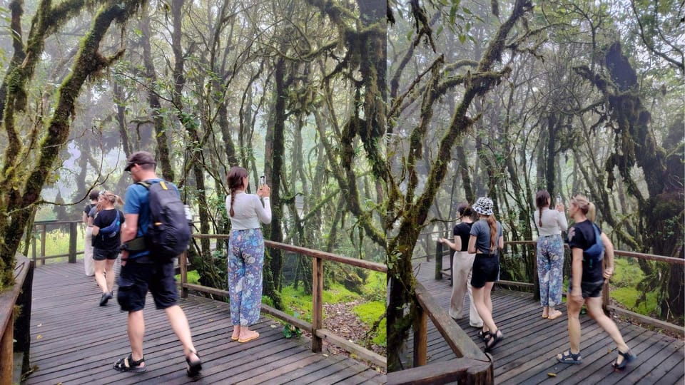 Chiang Mai: Doi Inthanon National Park Sightseeing - Frequently Asked Questions