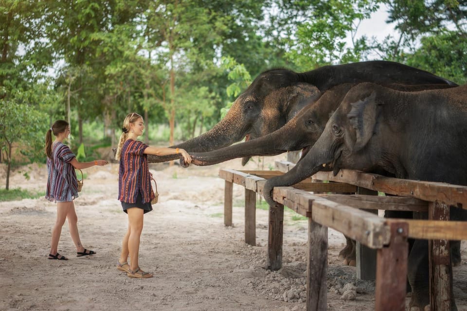 Chiang Mai: Ethical Elephant Encounter Feeding Program - Frequently Asked Questions