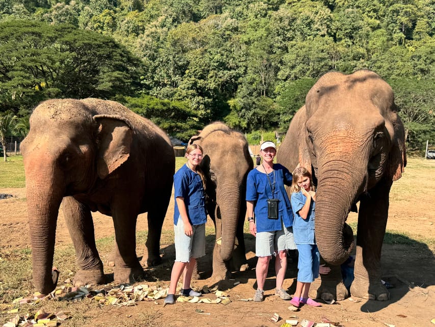 Chiang Mai Tour: Bua Tong Sticky Waterfall & Elephant Care - Frequently Asked Questions