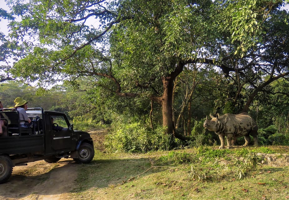 Chitwan: 2-Night Safari Tour With Jeep Tour and Jungle Walk - Frequently Asked Questions