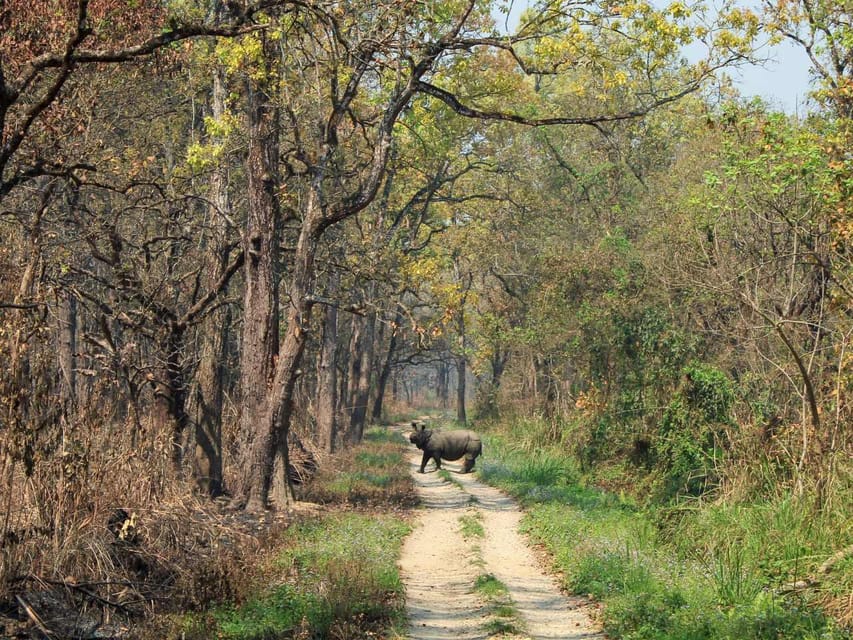 Chitwan Jungle Safari: 3-Day Wildlife Expedition - Frequently Asked Questions