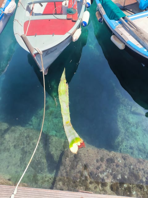 Cinque Terre: Tasting / Walking Tour - Frequently Asked Questions