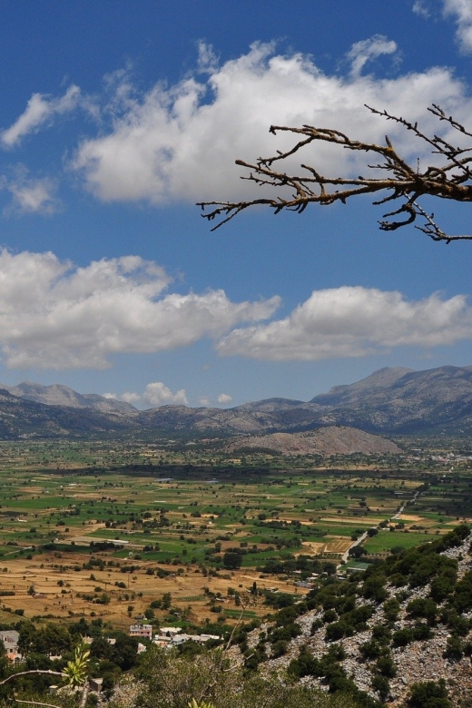 Crete: Lasithi Plateau and Knossos Palace Day Tour - Frequently Asked Questions