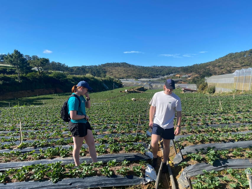 Dalat ATV Discovery: Highland Adventure on Scenic Trails - Frequently Asked Questions