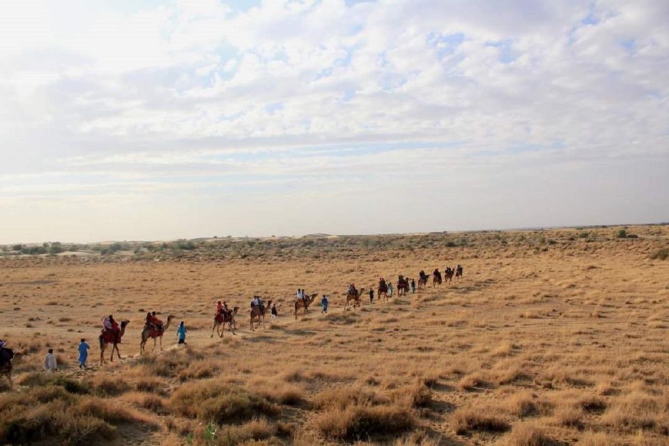 Desert Rose Jaisalmer: Overnight Thar Desert Experience - Frequently Asked Questions