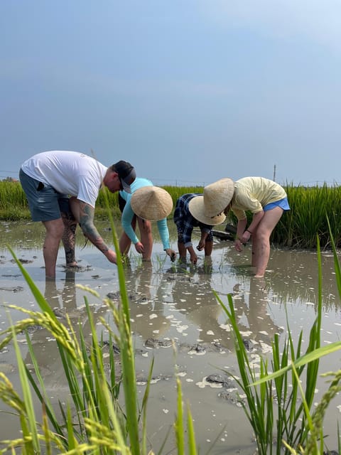 Discover Hoi an Countryside - Frequently Asked Questions