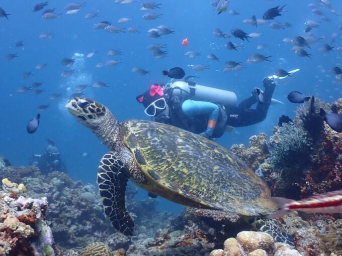 Discover Scuba Diving in Boracay - Frequently Asked Questions