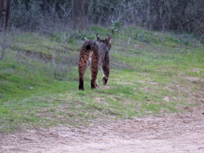 Doñana National Park: 2-Day Tour From Seville - Frequently Asked Questions