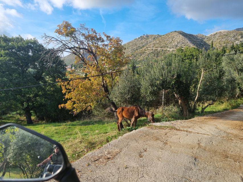 Dubrovnik: 3-Hour ATV Safari Tour With Hotel Transfers - Frequently Asked Questions