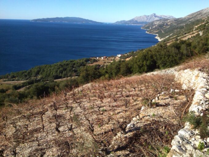 Dubrovnik: Deep Red Wine Tour of Pelješac - Frequently Asked Questions