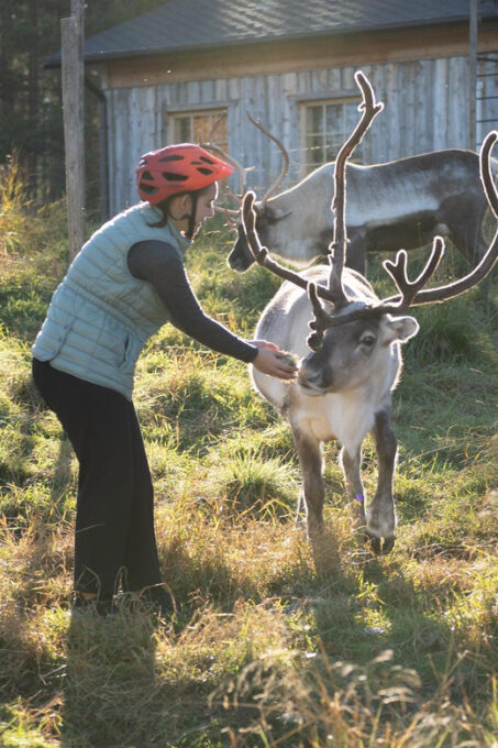 E-FATBIKE TRIP TO THE REINDEER FARM - Booking Information