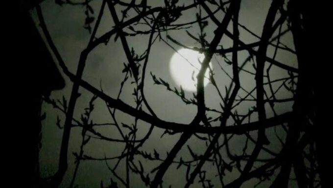 Edinburgh: 2-Hour Nighttime Ghost Tour - Frequently Asked Questions